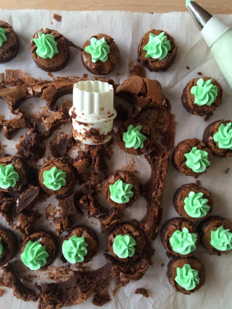 Two Bite Chocolate Mint Brownies 