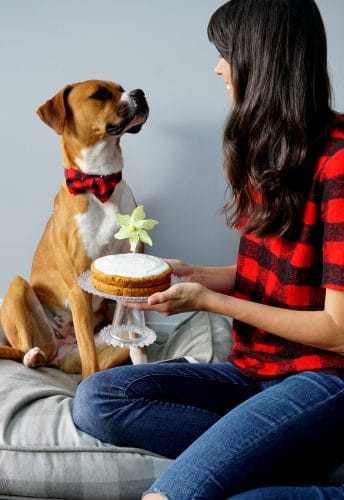 Homemade Dog Cake & a Bowtie Collar Giveaway