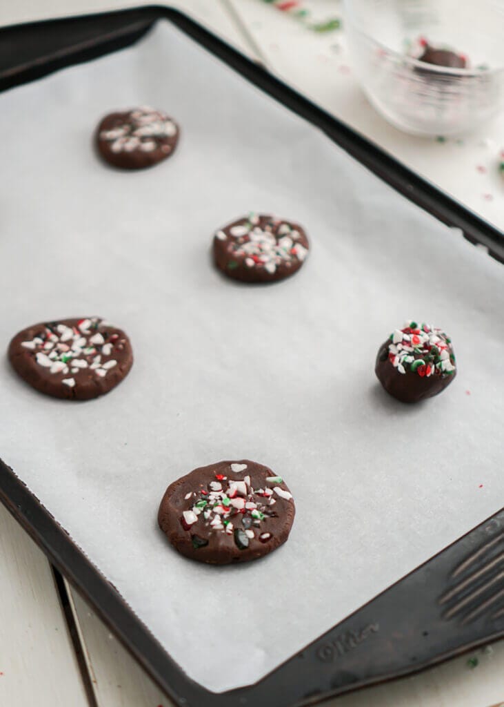 How to Make Chocolate Candy Cane Cookies